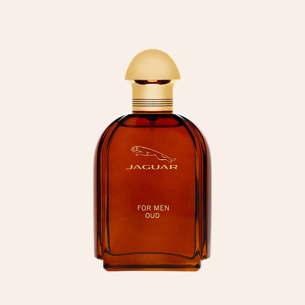 Jaguar For Men Oud 100 ml