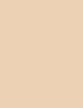 Clarins Ombre Skin Intense Color Powder Eyeshadow 1,5 ml - 1,5ml - Oční stín