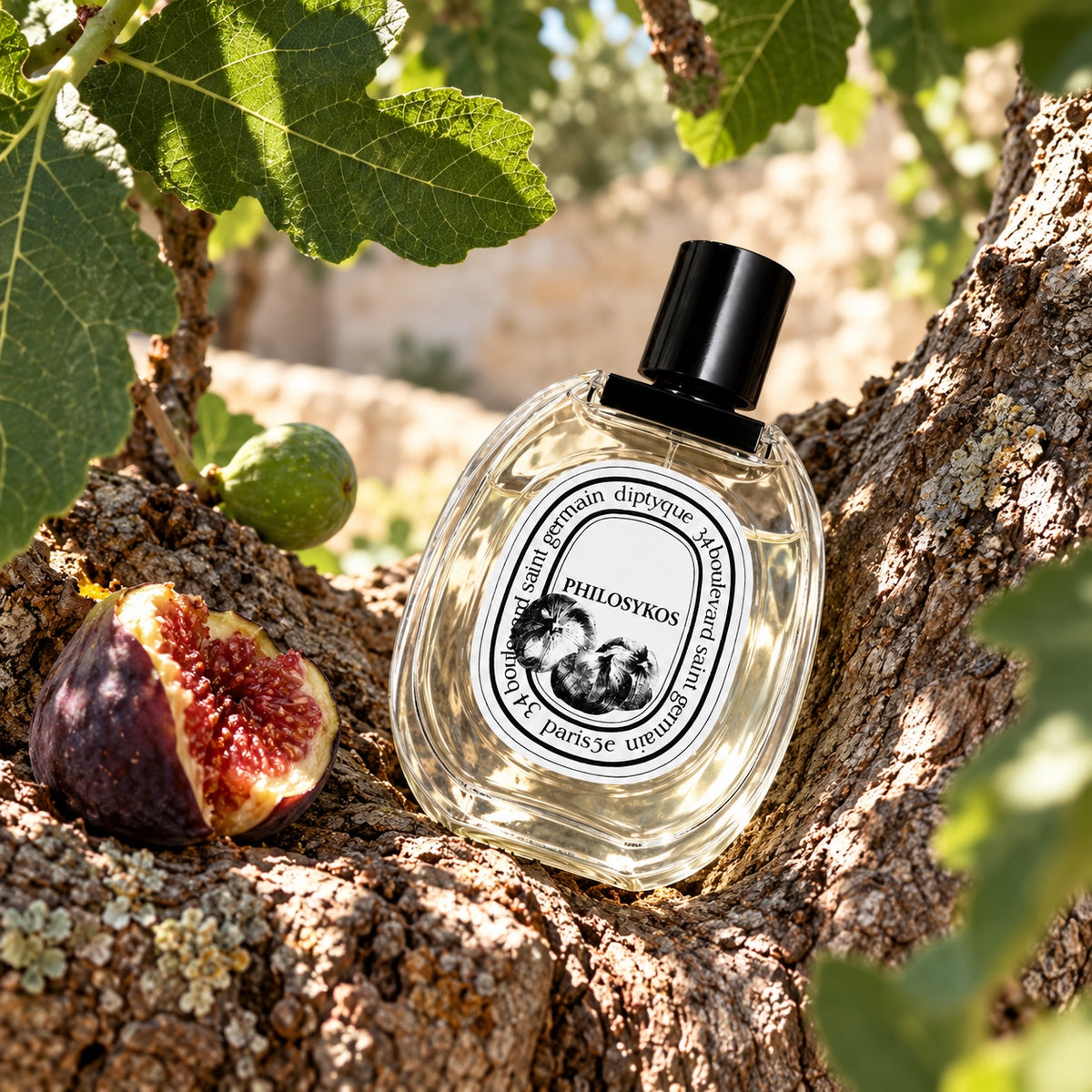 Diptyque Philosykos EDT – atmosféra vůně – MrRizz