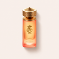 Paris Corner Khair Fusion EDP100ml – MrRizz