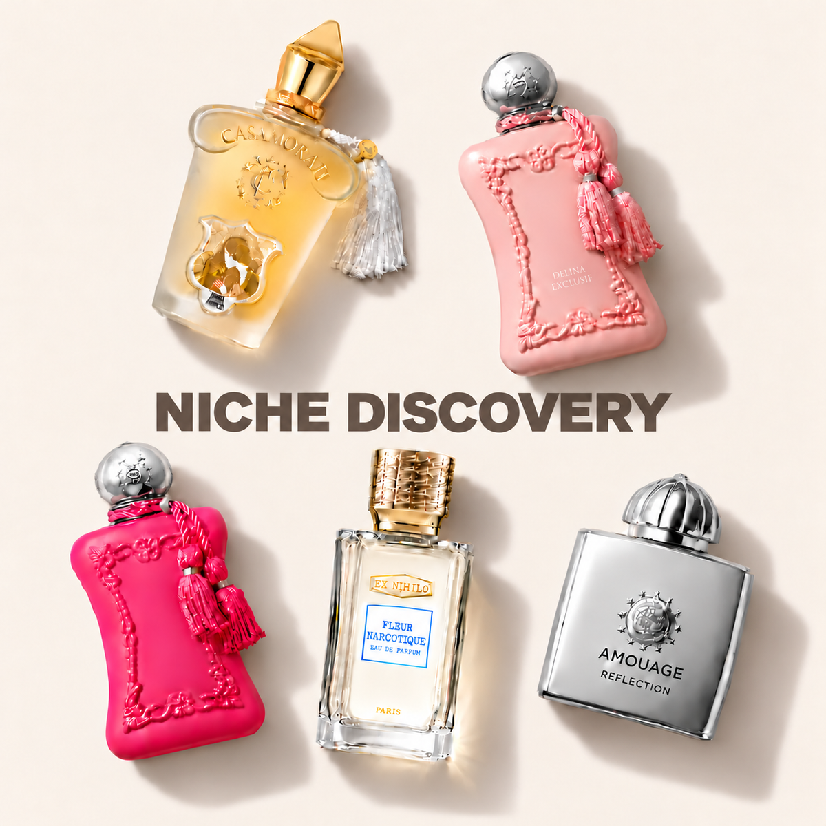 Niche Discovery – set dámský – MrRizz