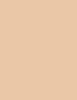 Shiseido Synchro Skin Self-Refreshing Custom Finish Powder Foundation 9 ml - 9ml - Makeup
