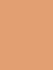 Shiseido Synchro Skin Self-Refreshing Custom Finish Powder Foundation 9 ml - 9ml - Makeup
