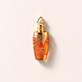 Paris Corner Papillon des Vents 100 ml – MrRizz