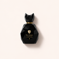Lamborghini Ginerva Black 100 ml – MrRizz