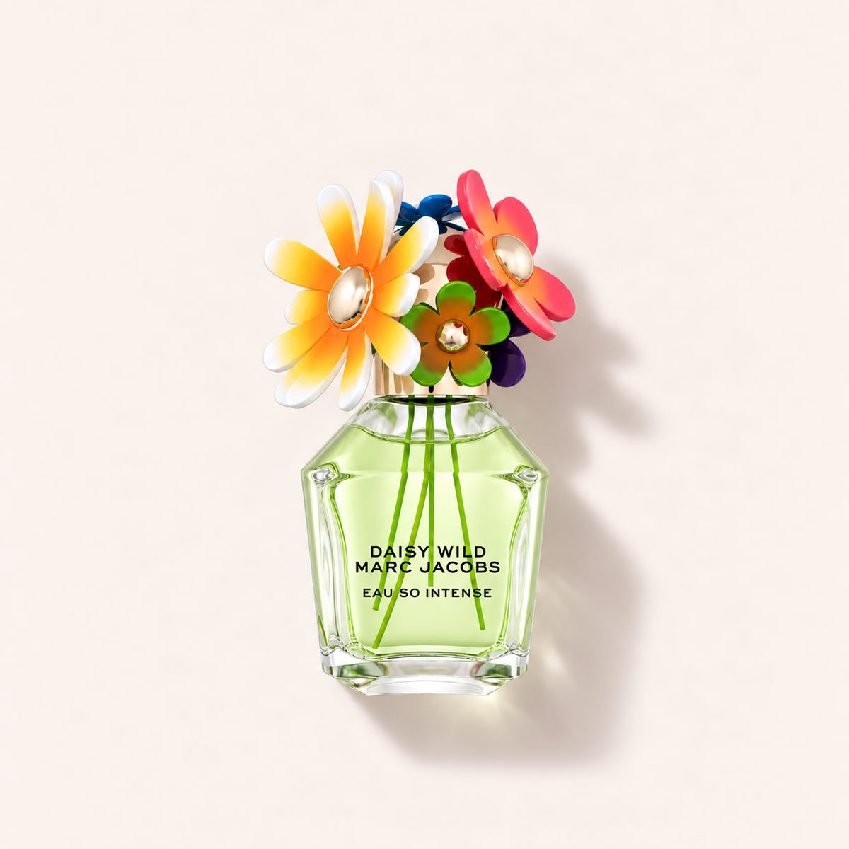 Marc Jacobs Daisy Wild Eau So Intense 100 ml – MrRizz