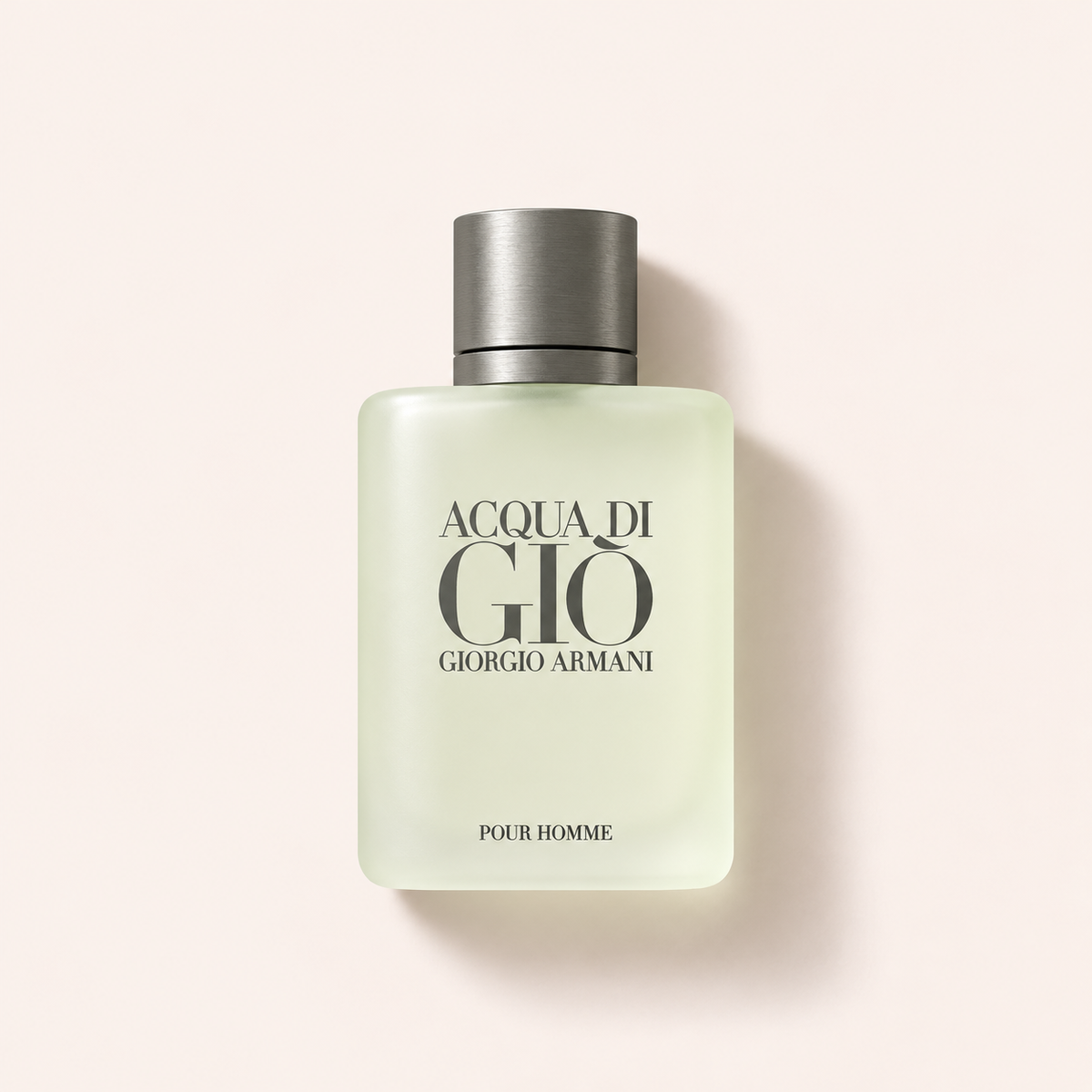 Giorgio Armani Acqua di Gio Pour Homme 100 ml – MrRizz