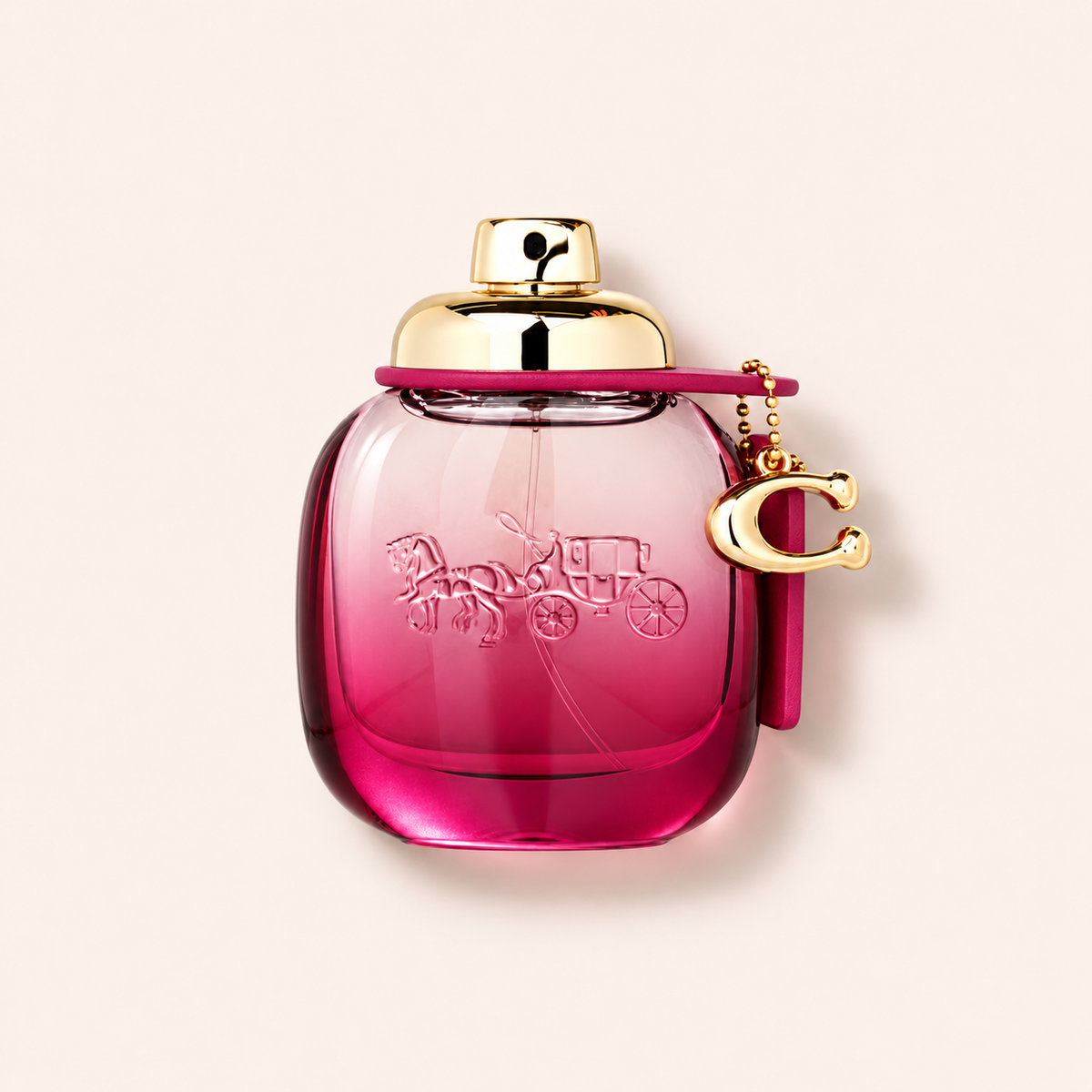 Coach Wild Rose EDP 50 ml – MrRizz