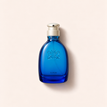 Giorgio Beverly Hills Ocean Dream Men EDT 100 ml – MrRizz