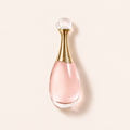 Dior J’adore EDT 100 ml – MrRizz