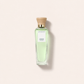 Adolfo Dominguez Agua Fresca de Azahar 120 ml – MrRizz